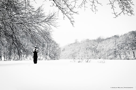 White Reflexion
