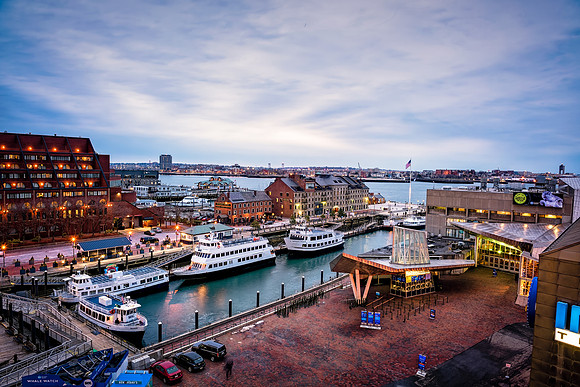 New England Aquarium