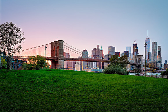 Gorgeous Dumbo