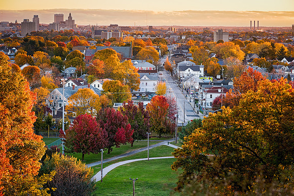 Providence's Foliage